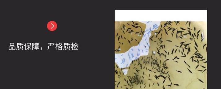 探究桂花鱼的生物学特性：其繁殖方式如何？