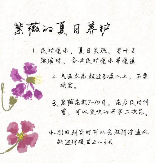 夏季遮阴时如何养护这六种花卉？