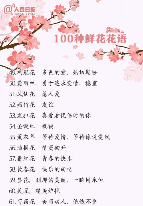 如何养护万寿菊：如何突破三大难点，让其在室内绽放光彩？