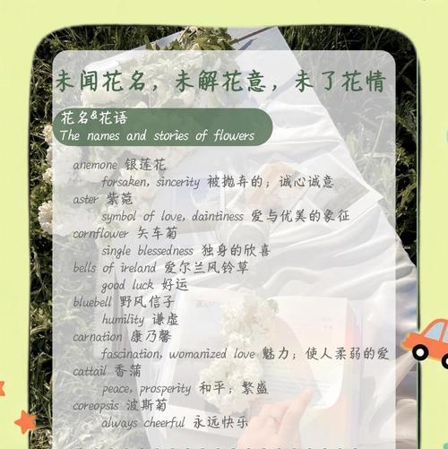 如何养护万寿菊：如何突破三大难点，让其在室内绽放光彩？