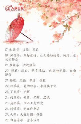 如何养护万寿菊：如何突破三大难点，让其在室内绽放光彩？