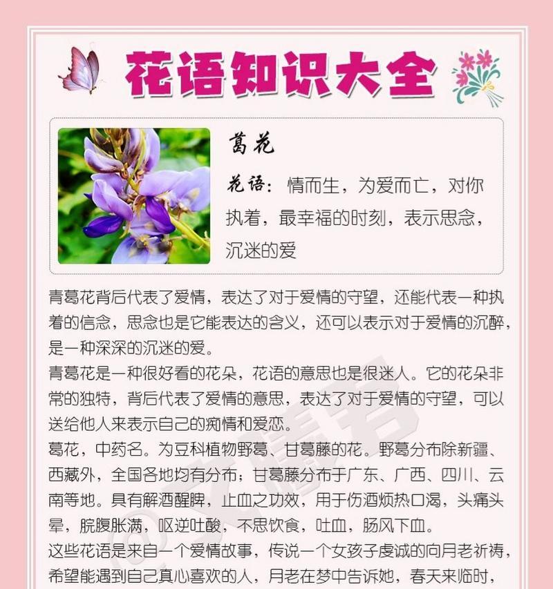 花语代表爱的含义是什么？如何正确表达爱意？