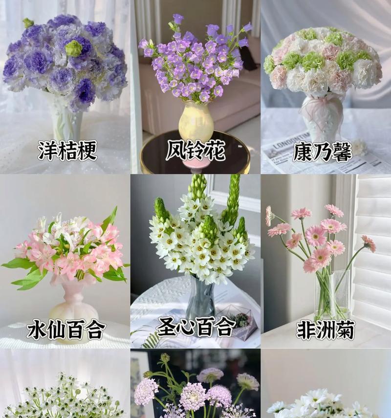 鲜花花语有哪些？如何挑选代表爱意的鲜花？