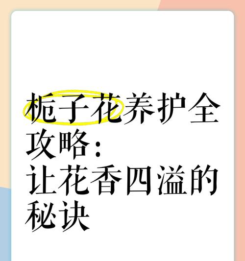 栀子花如何四季开花？科学养护的七大技巧是什么？