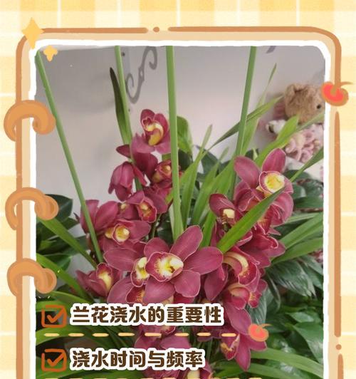 野生兰草如何养殖？养殖方法有哪些技巧？