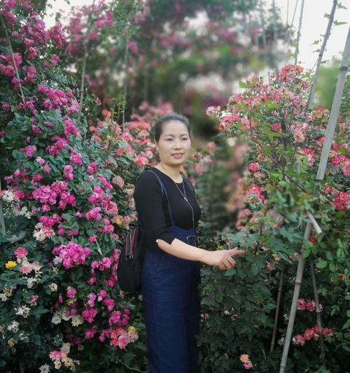 大活宝玫瑰花的养护方法是什么？有哪些注意事项？