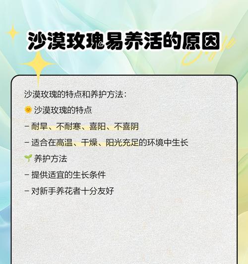 沙漠玫瑰花的正确养护方法是什么？如何适应沙漠环境？