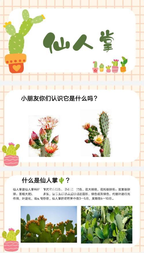 仙人掌树的正确浇水和养护技巧是什么？