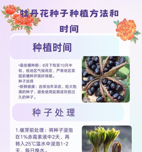 牡丹花冬季养护需要注意什么？