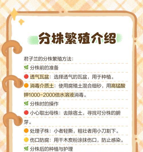 君子兰繁殖的正确方法是什么？