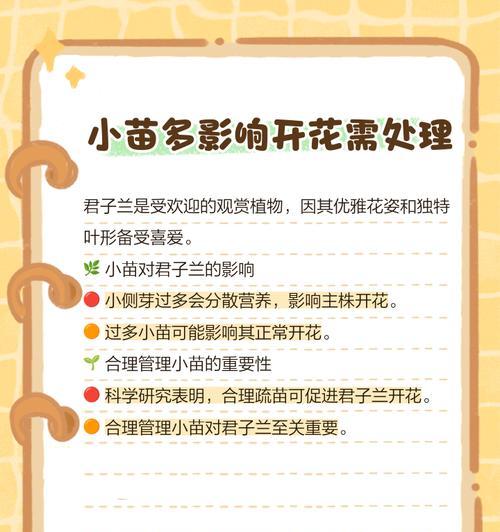 君子兰小苗4.6片叶如何培养？