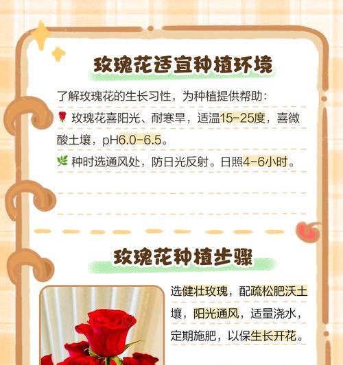 种植玫瑰花需要哪些产品模块？
