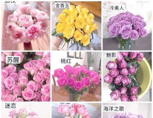 玫瑰花如何进行活水养殖？