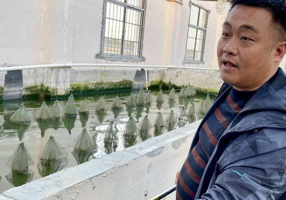玫瑰花如何进行活水养殖？