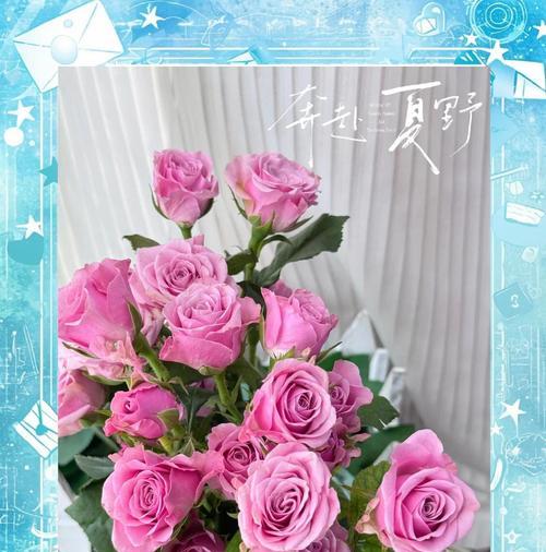 如何使玫瑰花的花期更长？