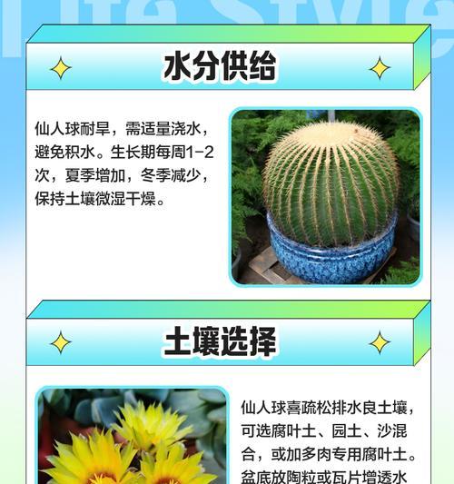 仙人球可以浇饮料吗？正确的浇水方法是什么？