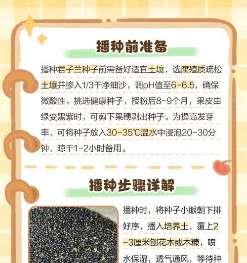 君子兰种子发芽后如何继续养护？使用方法是什么？
