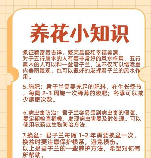 君子兰种子发芽后如何继续养护？使用方法是什么？