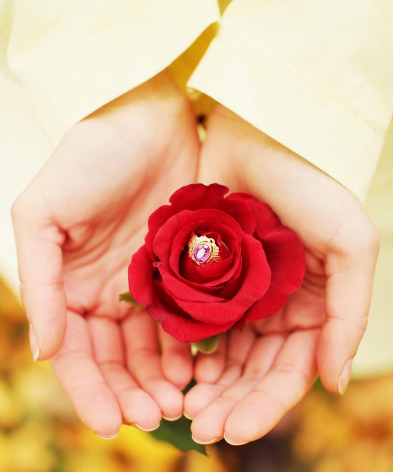 如何养护买菜附赠的玫瑰花？