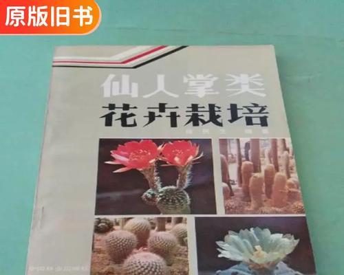 仙人掌栽培的基本步骤是什么？