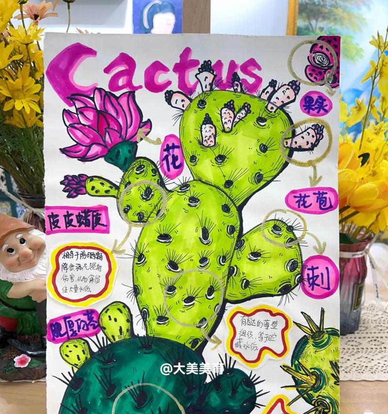 仙人掌栽培的基本步骤是什么？