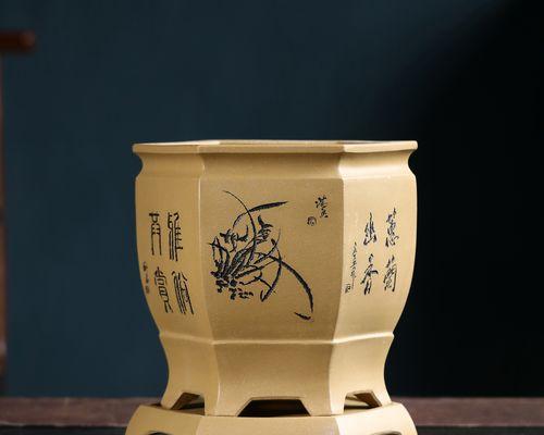 君子兰专用方花盆的种植方法是什么？