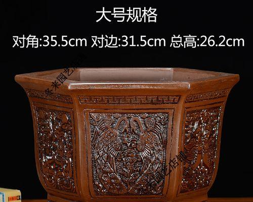 君子兰专用方花盆的种植方法是什么？