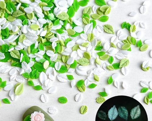 玫瑰花一枝有多少片叶子？叶子数量对生长有何影响？