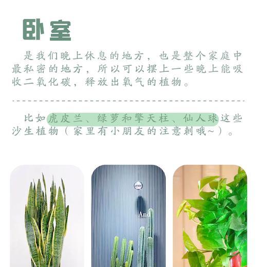 如何判断仙人球土壤的湿度？
