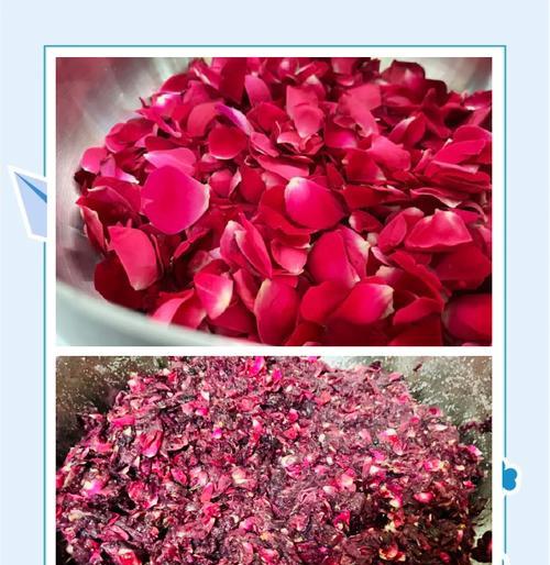 做玫瑰花酱需要哪种玫瑰花瓣？
