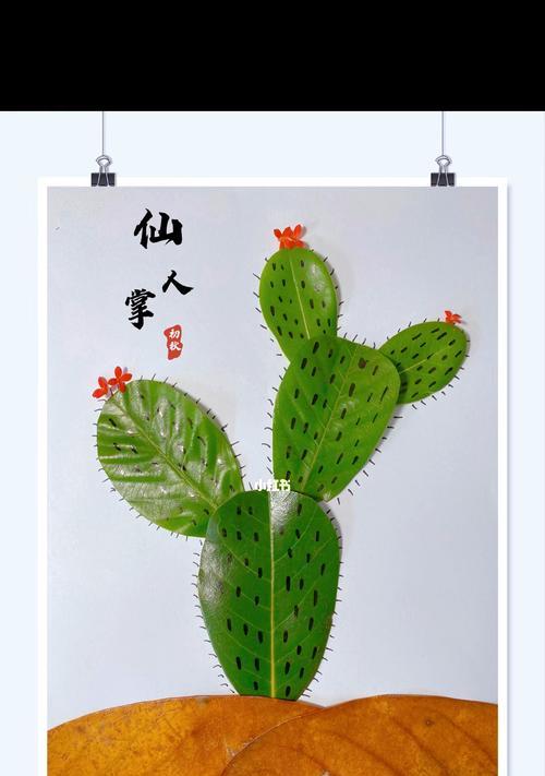 中华仙人掌剪叶子的正确方法是什么？