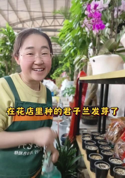 君子兰多头发芽的处理方法是什么？