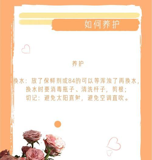 玫瑰花养护方式的具体含义是什么？