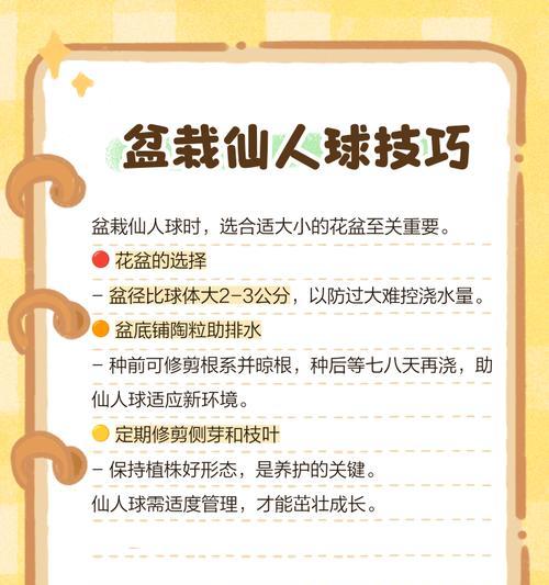 如何在户外成功养护仙人球？