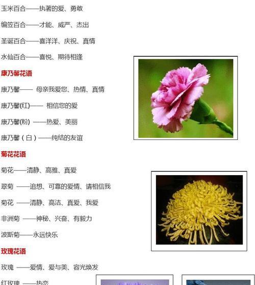 砍头仙人球发侧芽的时机是什么时候？