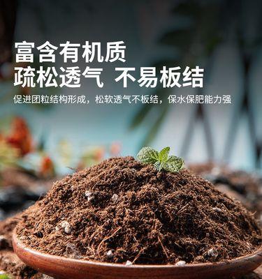 玫瑰花种植所需的营养土配方是什么？