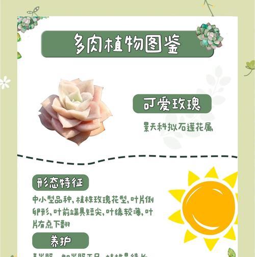 玫瑰花种植所需的营养土配方是什么？