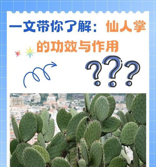 冻伤的仙人掌如何恢复？怎样避免不发芽的情况？