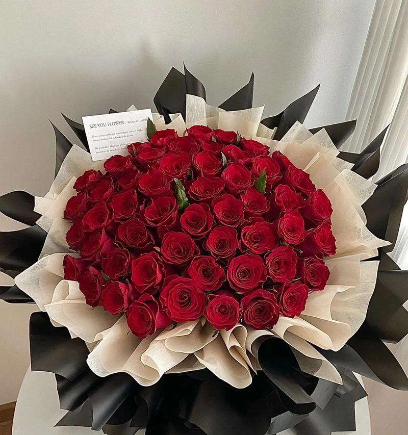 玫红玫瑰花和红玫瑰的区别是什么？