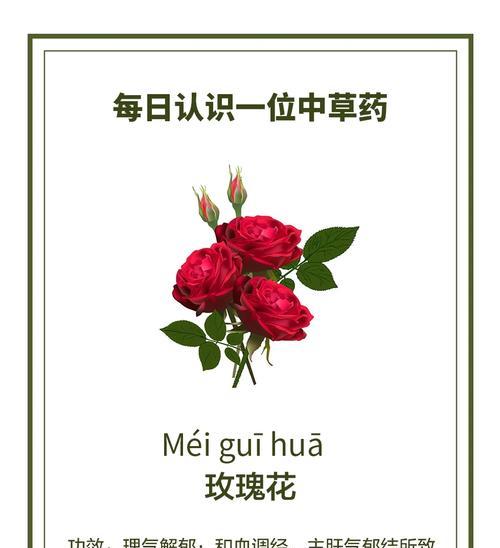 路边花店购买的玫瑰花如何养护？