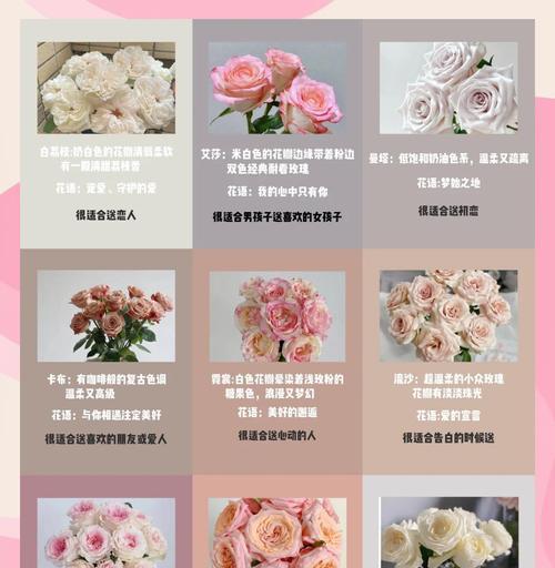 玫瑰花不使用架子如何正确养护？