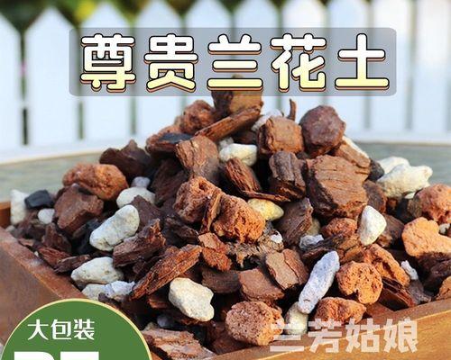 君子兰专用土的种类和特点是什么？