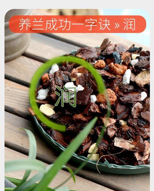 君子兰专用土的种类和特点是什么？