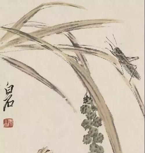 齐白石是如何养护君子兰的？