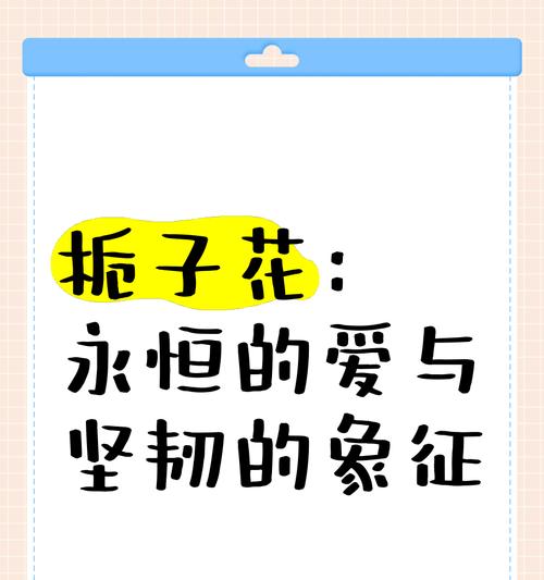 栀子花的寓意是什么？它的花语有哪些？