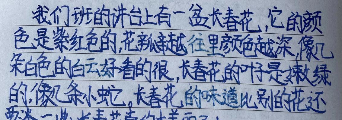 小长春花花语是什么？它有什么特别含义？
