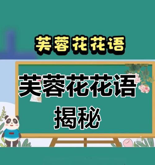 芙蓉花花语代表什么？它传递了哪些信息？