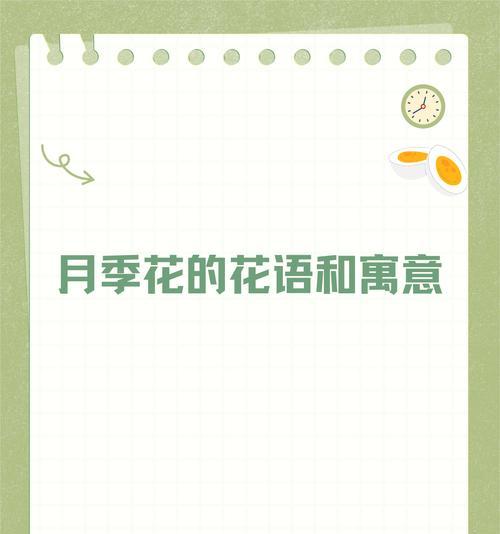 欧洲月季花语是什么？它传递了哪些情感？