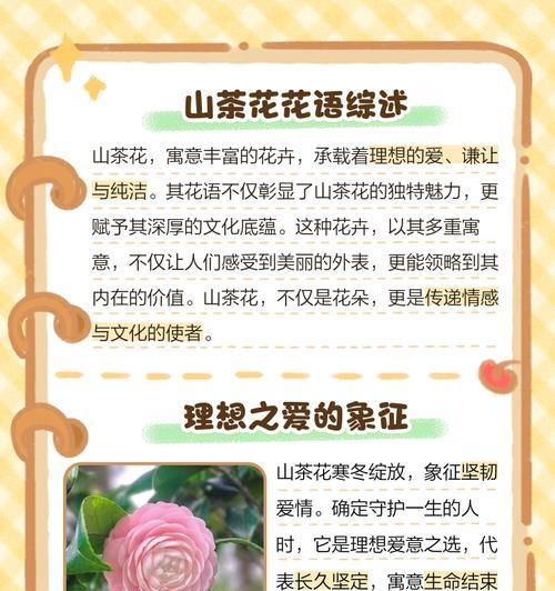 世界各花花语有哪些？它们各自代表了什么？