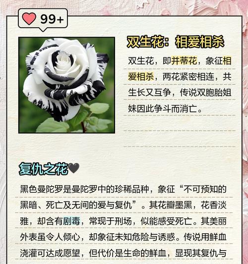 世界各花花语有哪些？它们各自代表了什么？